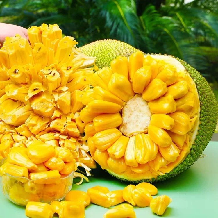 Jackfruit Seeds🍍