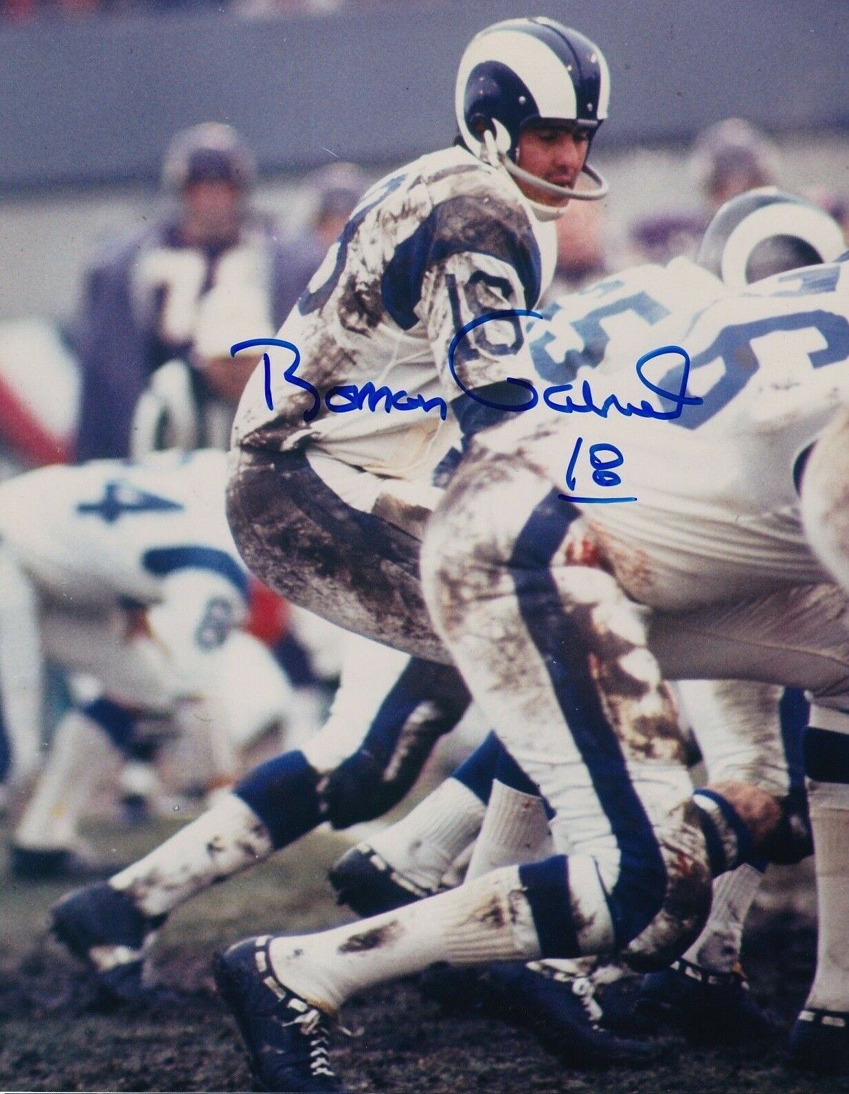 Roman Gabriel Autographed Signed 8x10 Photo Poster painting ( Rams ) REPRINT