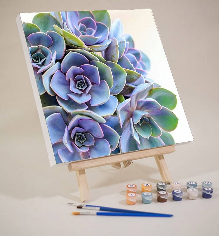 Blue succulent-Mini DIY Paint by Numbers Kit
