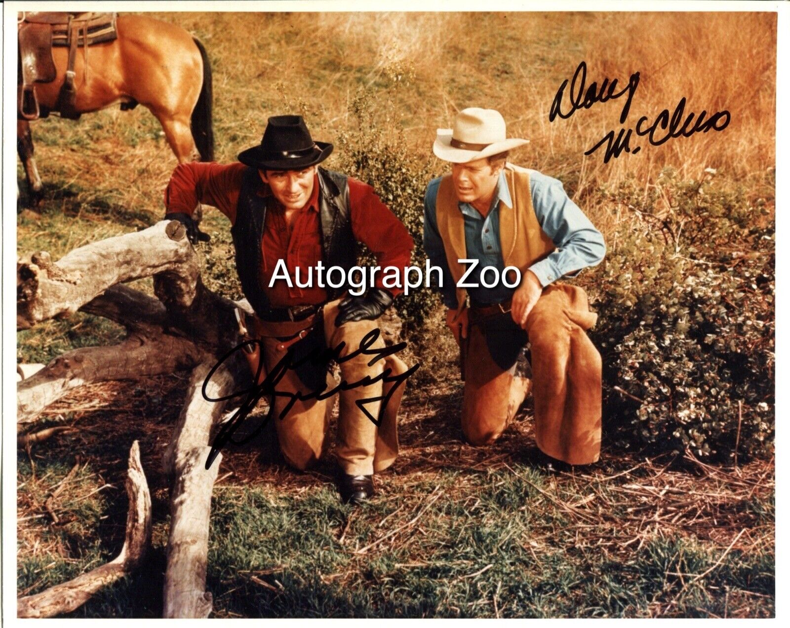 James Drury and Doug McClure signed The Virginian 8x10 Photo Poster painting