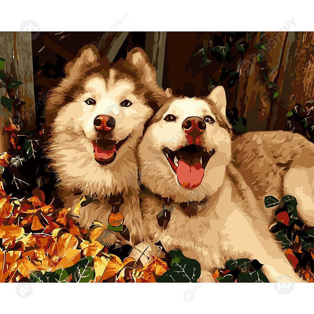 

40*50CM Paint By Numbers-Two Dogs, 501 Original