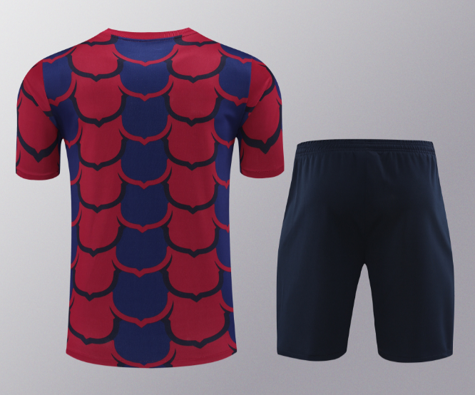 24/25 Barcelona Training Kit Short Sleeve Football Shirt Thai Quality