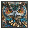 [Brand]Owl - 14CT Counted Cross Stitch - 41*41cm