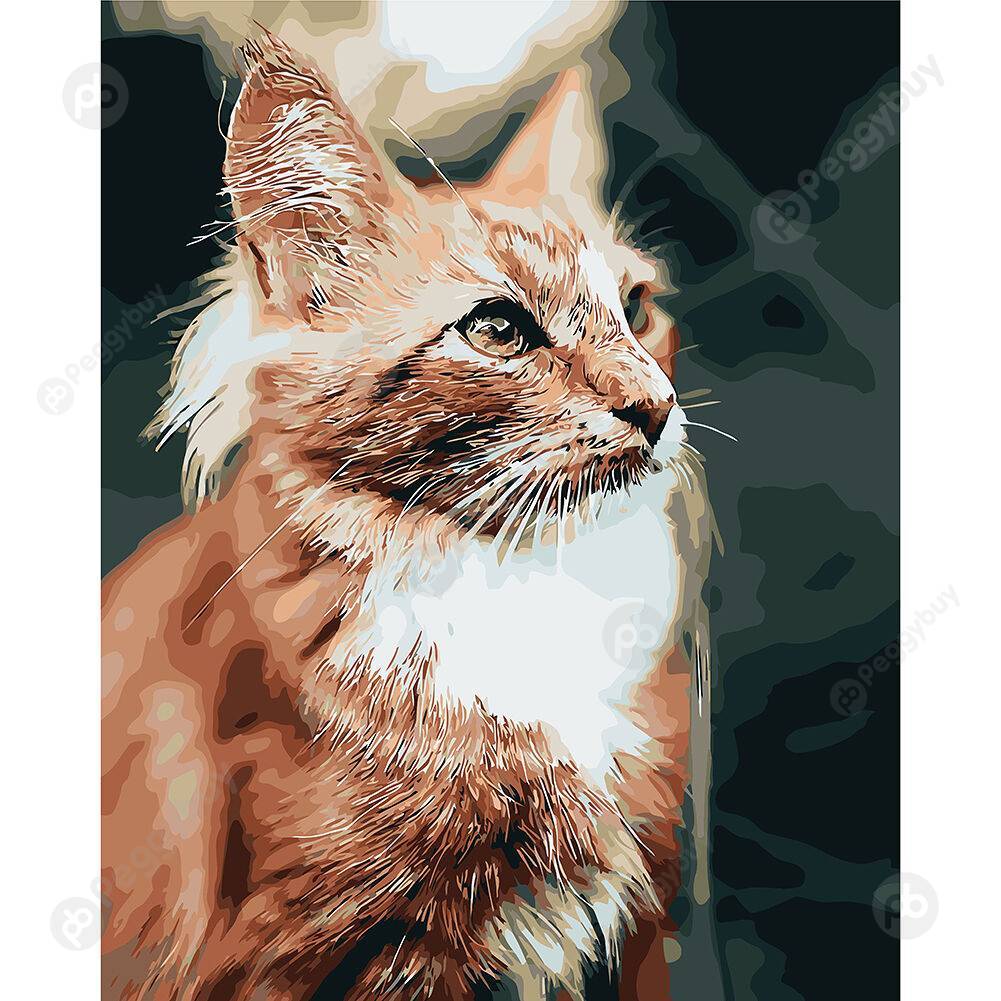 

40*50CM Paint By Numbers-Cat, 501 Original