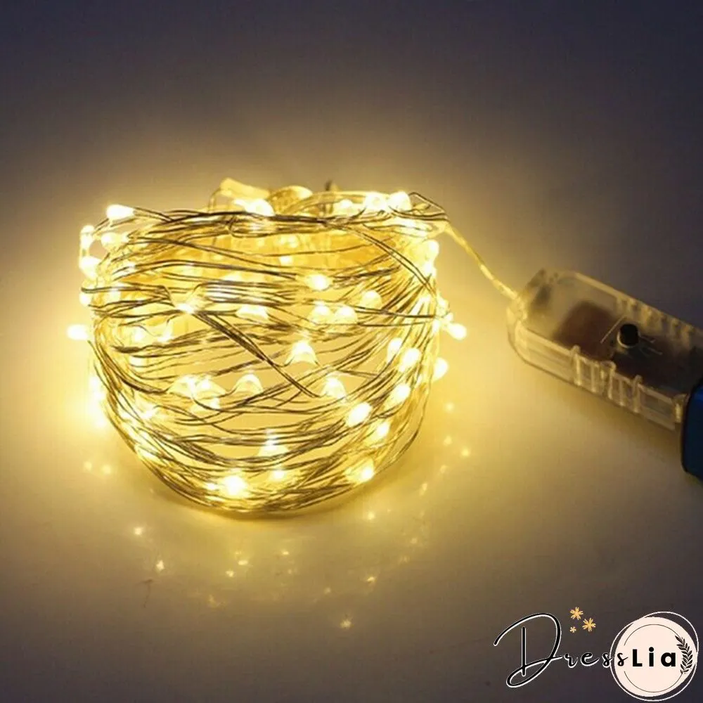 Usb Plug In 50/100/200 Led Micro Copper Wire String Lights Party Fairy Lamp Xmas