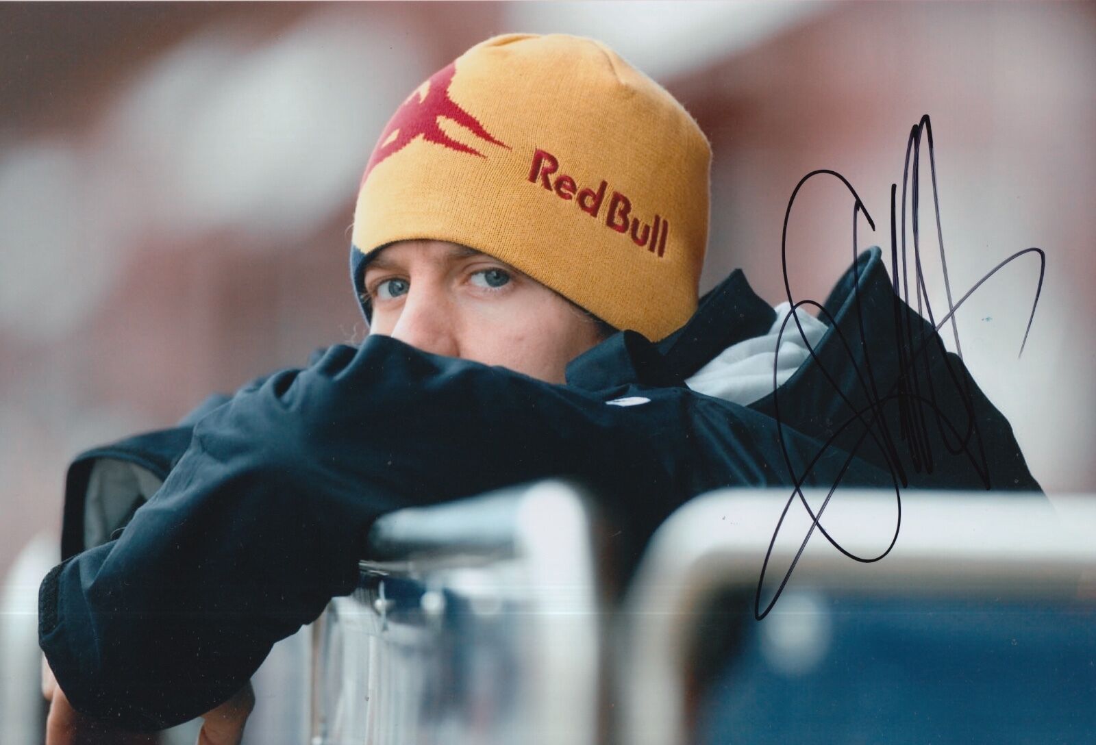 Sebastian Vettel Hand Signed Red Bull F1 12x8 Photo Poster painting 3