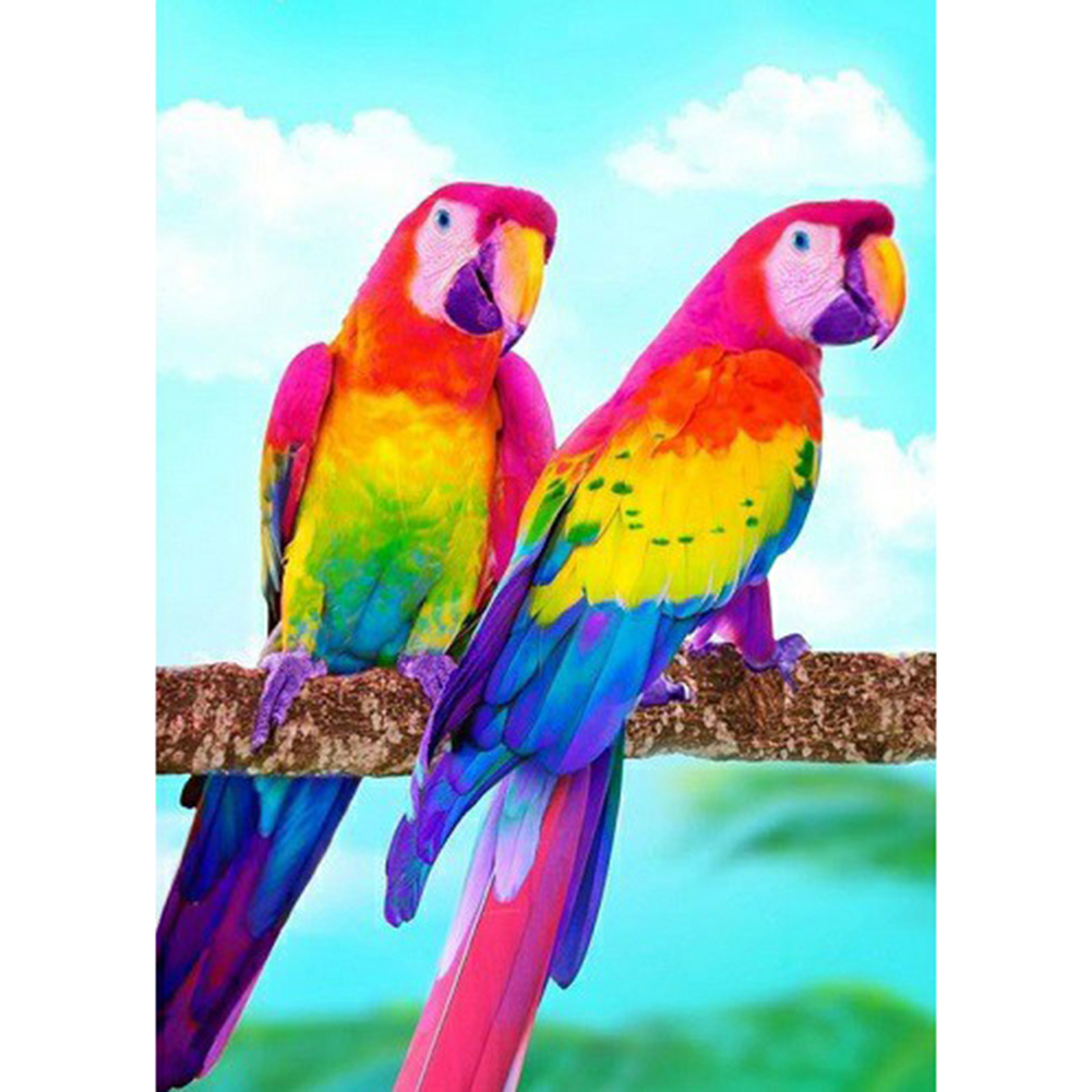

30*40CM - Round Drill Diamond Painting - Two Parrots, 501 Original