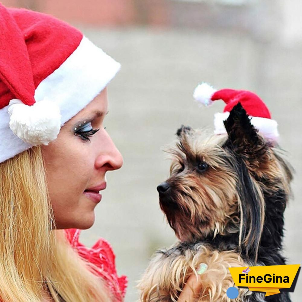 610PCS Dog Santa Hat Cute Birthday Party Cone Christmas Pet Costumes for Puppy Kitten