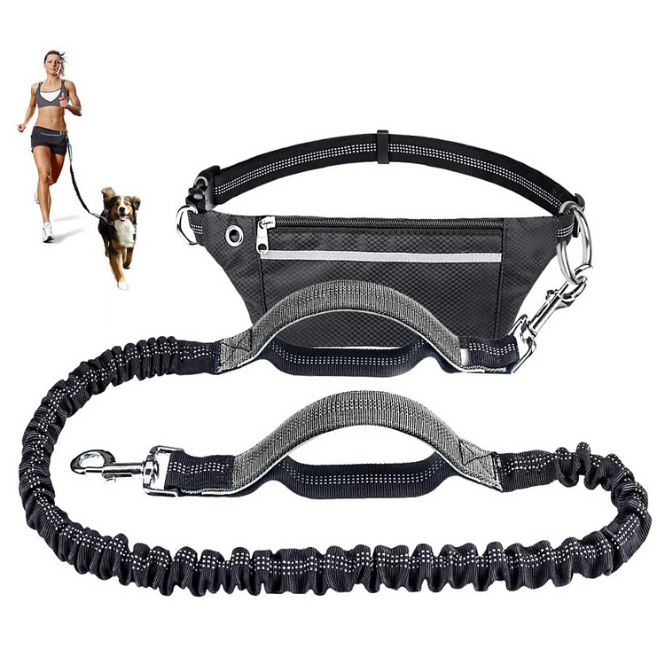 Hand-Free Dog Leash (2022)
