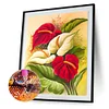 Diamond Painting -DIY Full Square Drill Red White Flower(50*40 CM)