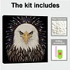 (30x30cm)DIY Eagle Pearl Painting Kit With Inner Frame Home Decor