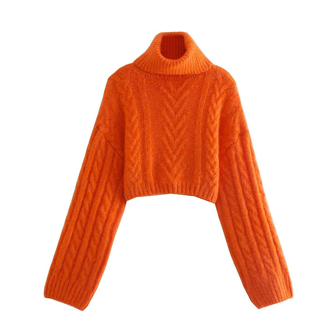 Willshela Women Fashion Orange Cropped Knit Sweater High Neck Long Sleeves Woman Casual High Street Knitted Pullover Winter