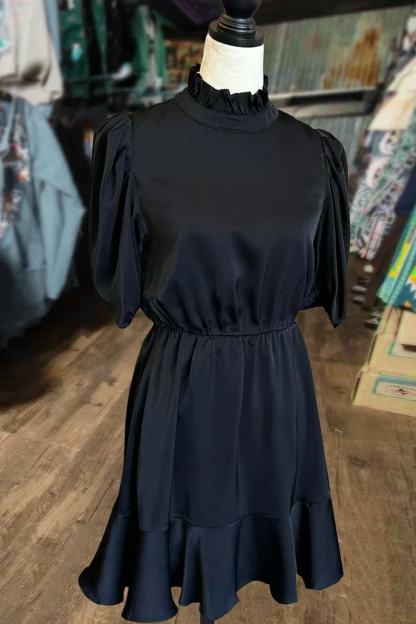 Solid Mock Neck Short Sleeve Dress
