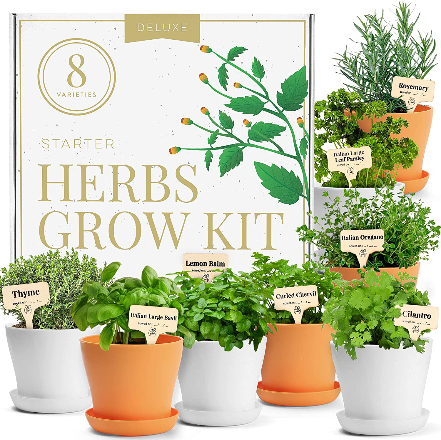 Variety Herb Seed Garden Grow Kit Indoor and Outdoor Herb Seed & Tools ...