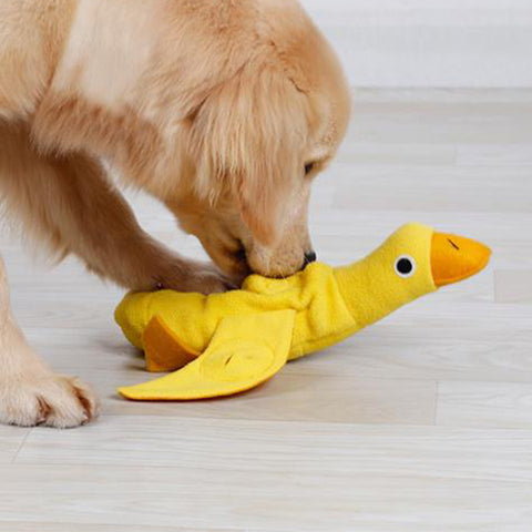 Pet duck toy
