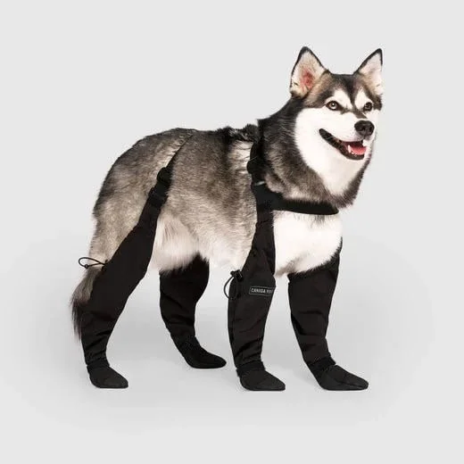 Suspender Boots For Dogs