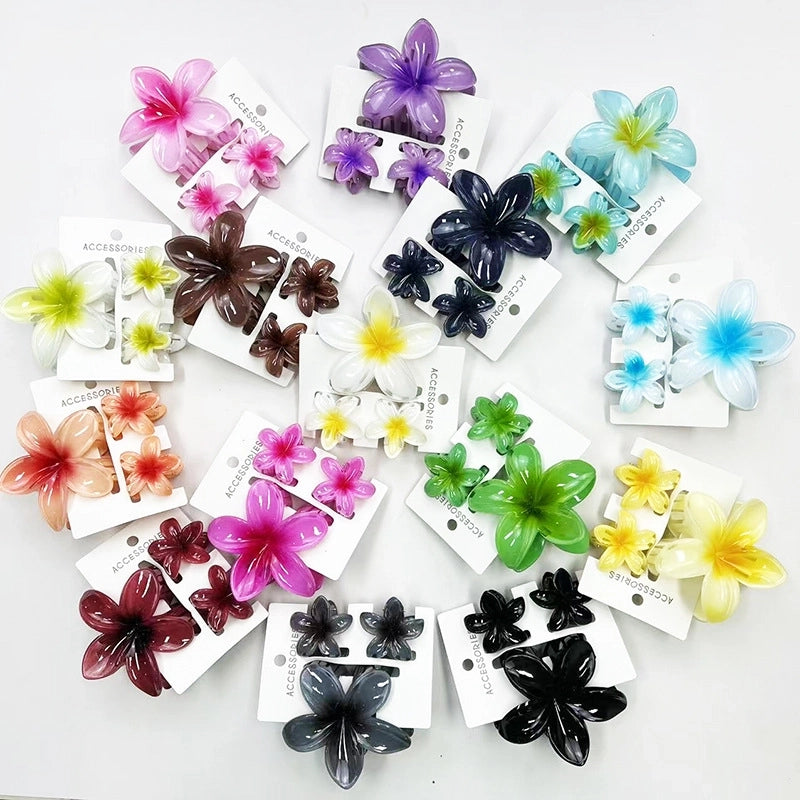 Vacation Modern Style Women's Flower Resin Hair Claws