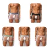 Men's Sexy Ultra-Thin Ice Silk Mesh-Panelled Transparent Boxer Briefs