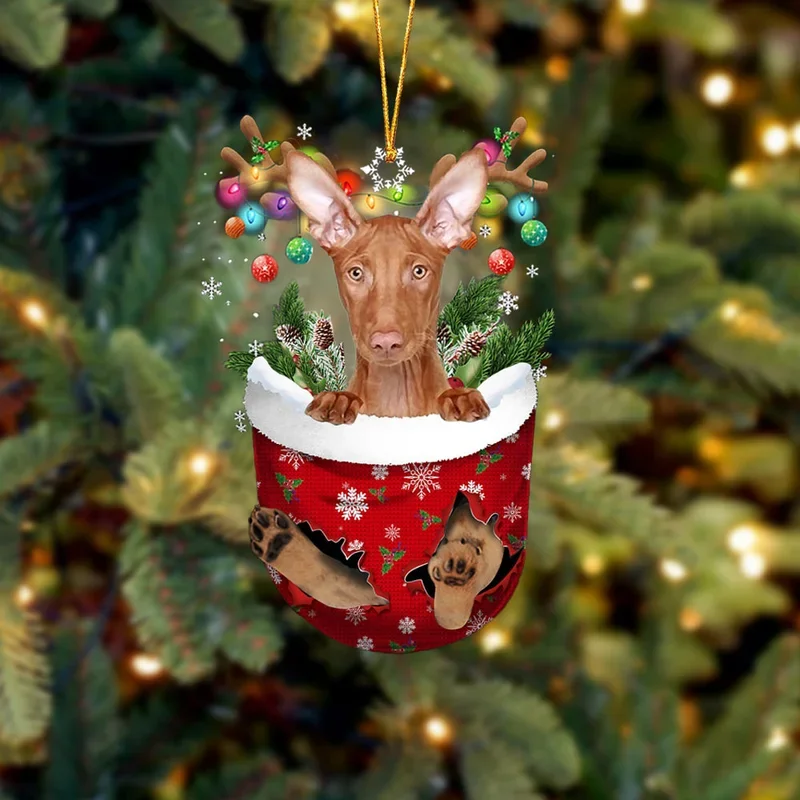 Pharaoh Hound In Snow Pocket Christmas Ornament trabladzer