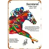 Secretariat - Vintage Metal Signs(12*16Inch)