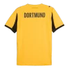 Borussia Dortmund Cup Jersey 2025/26