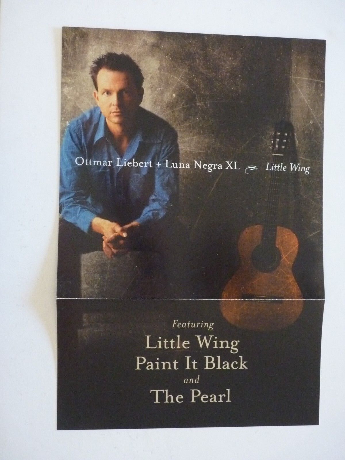 Ottmar Liebert Luna Negra XL Little Wing LP Record Photo Poster painting Flat 12x18 Poster