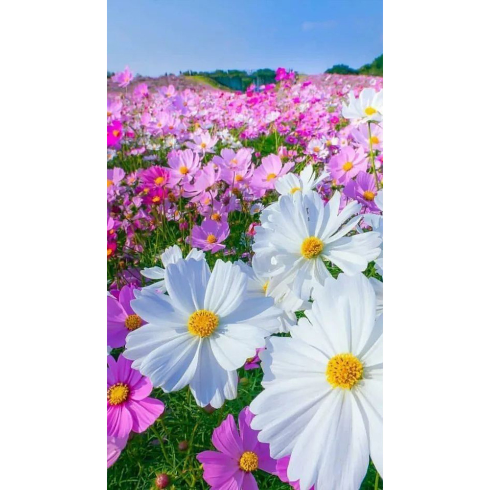 

Daisy - Round Drill Diamond Painting - 30*60CM (Big Size), 501 Original