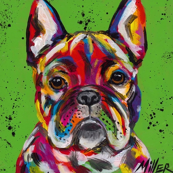 

Colorful French Bulldog – Paint By Numbers - 40*50CM, 501 Original