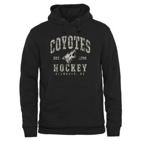 Men's Arizona Coyotes Black Camo Stack Pullover Hoodie