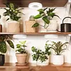 Full Spectrum Ceiling Grow Light 3/9/12H Timer LED Plant Light for Indoor Plants