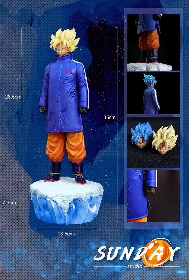 Goku Damged Clothes