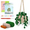 Hanging Potted Plants Crochet Starter Kit with Step-by-Step Instructions and Video Tutorials Complete Crochet Kit for Beginners Decoration 