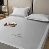 High-End Light Luxury 2024 New Milk Ice Silk Cool Mat Ice Silk Bed Mat Bed Sheet Three-Piece Set Foldable Naked Sleep Non-Slip