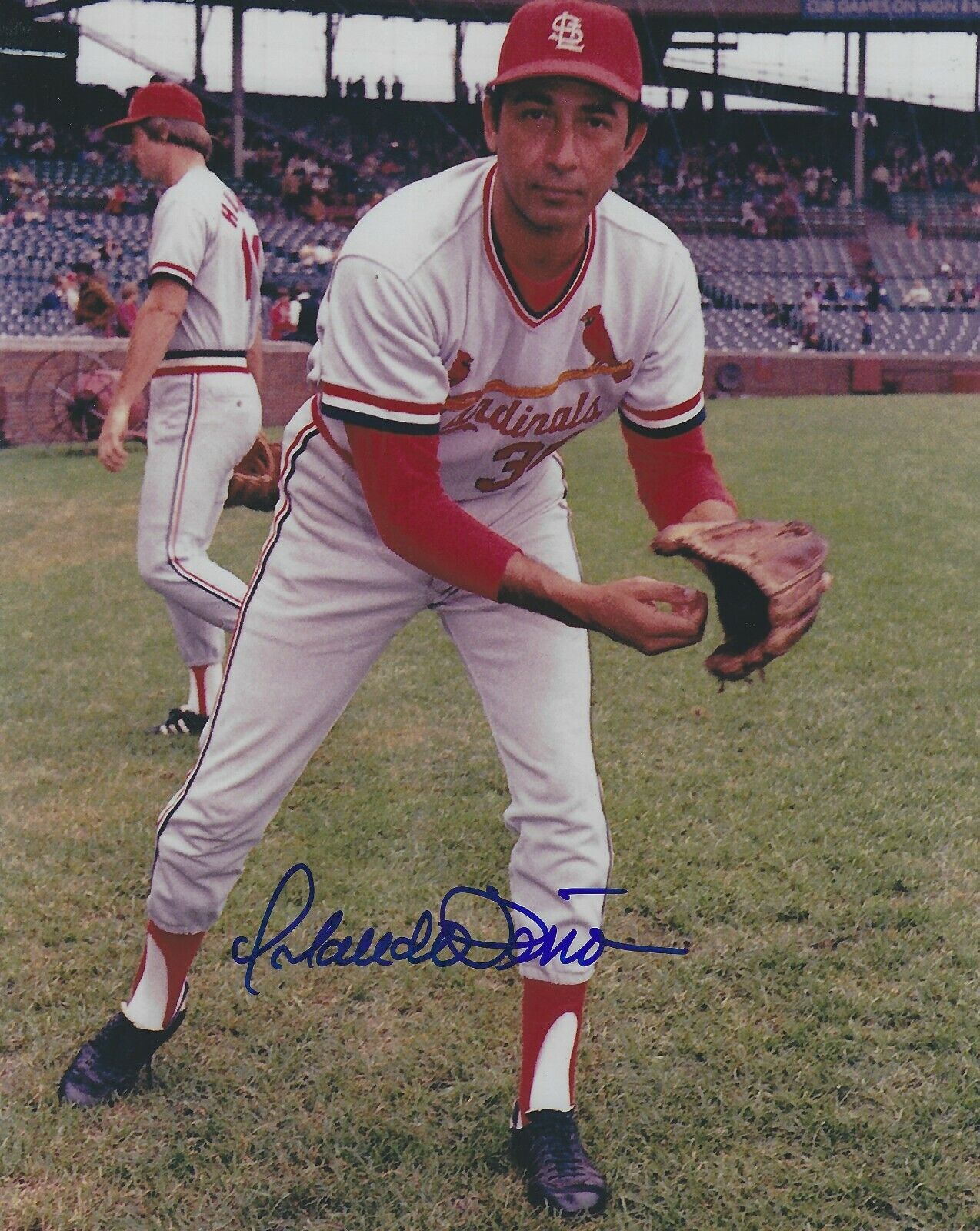 Signed 8x10 ORLANDO PENA St. Louis Cardinals Autographed Photo Poster painting - w/COA