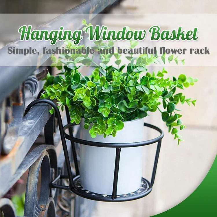 Hanging Window Basket | 168DEAL