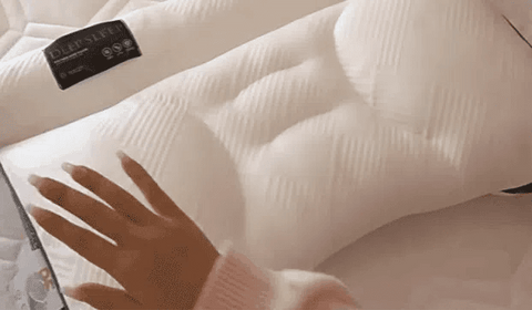 Sleep Enhancing Cervical Support Comfort Goose Down Pillow &ndash; Save 48% & Vip Shipping