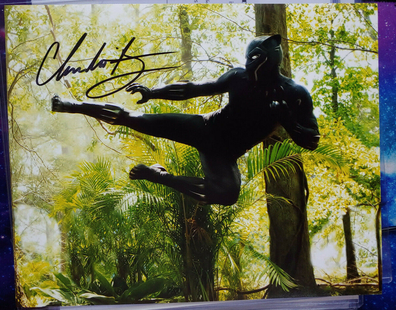 Chadwick Boseman TTM Signed 8x10 Photo Poster painting