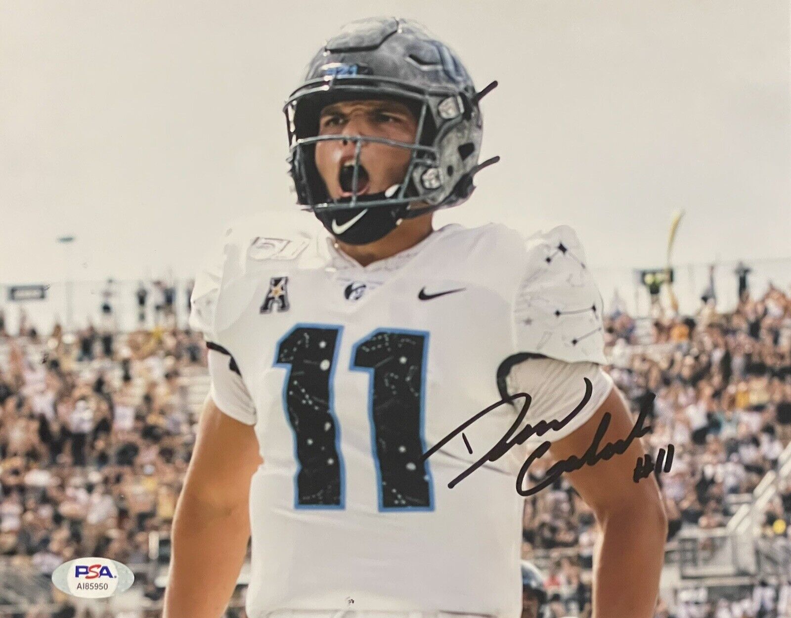 Dillon Gabriel Signed Autographed UCF Knights 8x10 Photo Poster painting PSA/DNA