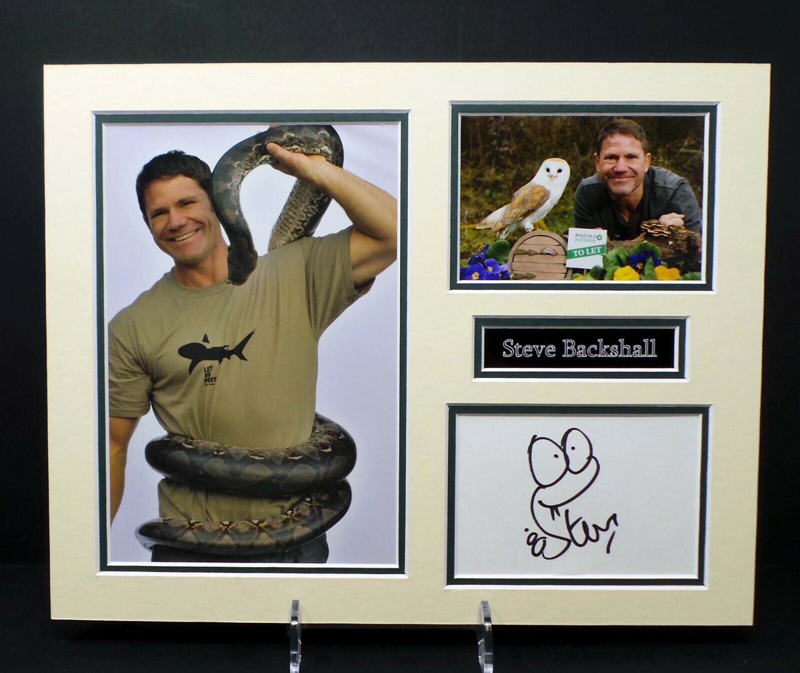 Steve BACKSHALL Signed Mounted Photo Poster painting Display Adventurer Naturalist AFTAL RD COA