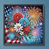 Fireworks Special Shaped 5D DIY Partial Drill Diamonds Dots Gem Art Kits 11.81 X11.81inch Diamond Dots Paintings Diamonds Paintings Gem Art for Adults Beginners Home Decor