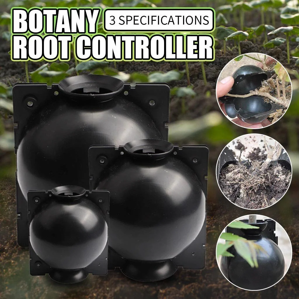 🌱Plant Root Growing Box (BUY 5 GET 3 FREE NOW)