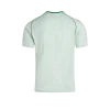 Joyfball 2025/2026 Celtic Origins Jersey 
