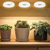 Full Spectrum Ceiling Grow Light 3/9/12H Timer LED Plant Light for Indoor Plants
