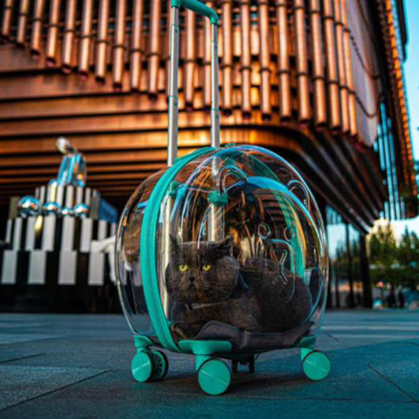 The Classic Taste Original Total Transparent Pet Carrier