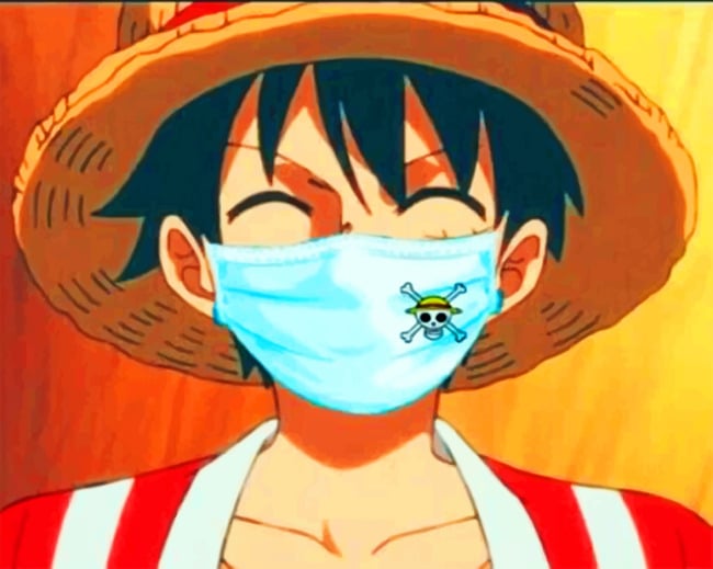 

Luffy Wearing A Mask – Paint By Numbers - 40*50CM, 501 Original