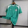 24/25 Palmeiras Green Training Suit