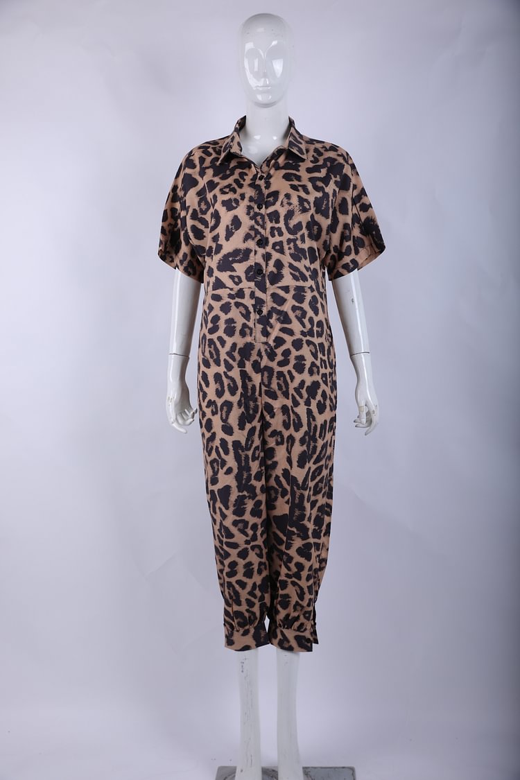 Leopard-Print Chiffon Short-Sleeve Jumpsuit Size S