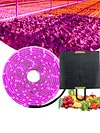 5M Flower Plant Phyto Growth Lamp 2835 SMD for Plants Hydroponics Growing System
