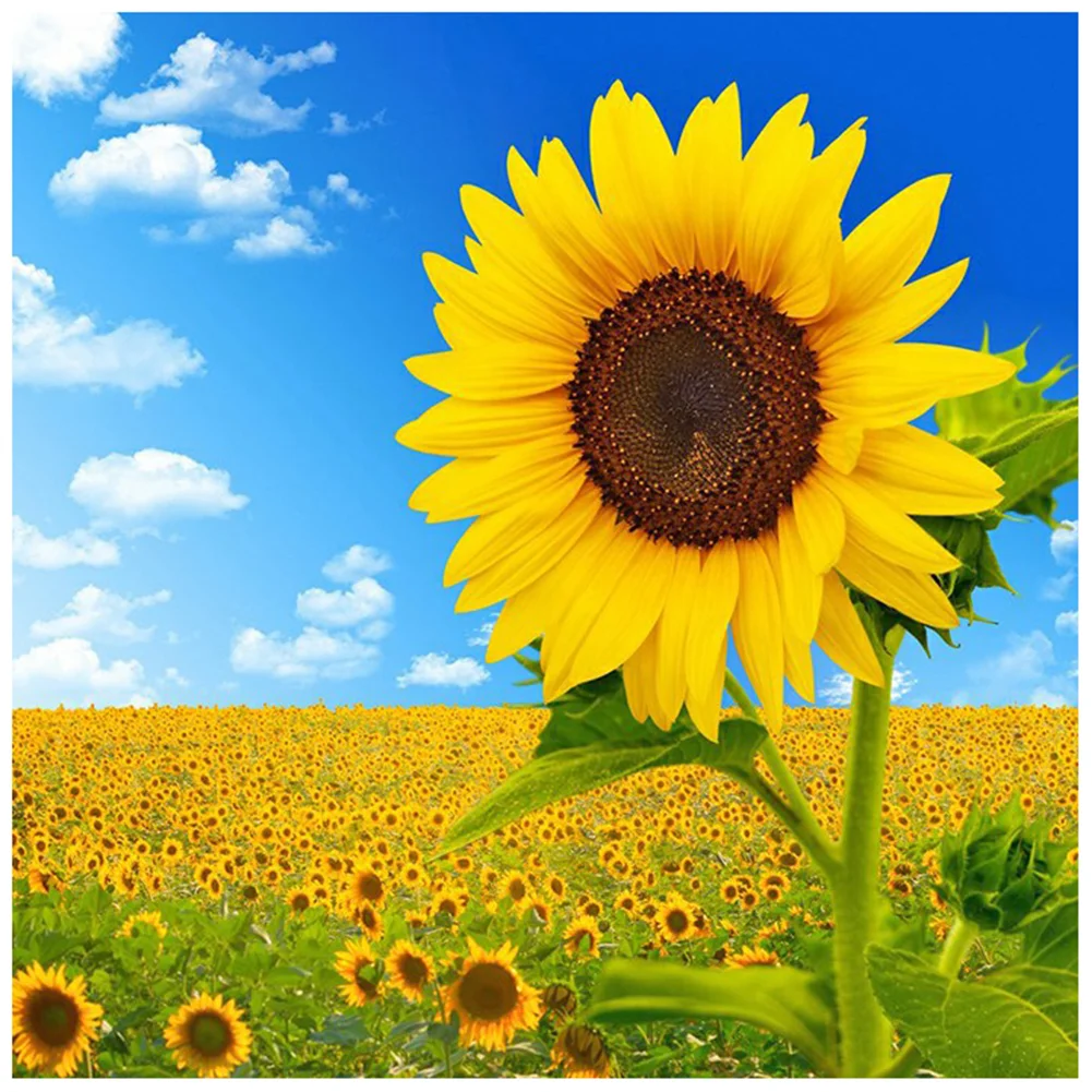 Flower - Full Round - Diamond Painting