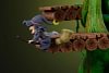 Victoria Island Magic Forest - MapleStory Resin Statue - NERV Studio
